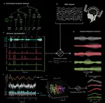 The structure and statistics of language jointly shape cross-frequency neural dynamics during spoken language comprehension